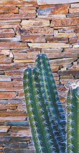 Merchant Service Companies in Peoria AZ Merchant Service Companies in Peoria AZ